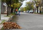 Continúa la campaña de recolección de hojas en la vía pública