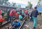 Chocaron dos formaciones de trenes en Buenos Aires: hay decenas de heridos