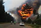 En medio de la ola de incendios forestales, renunció la subsecretaria de Ambiente de la Nación