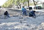 Continúa buen ritmo la reparación del adoquinado en cercanías de la Terminal de Ómnibus