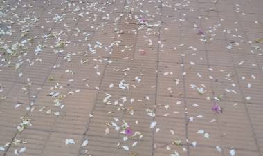 La primavera se hace esperar