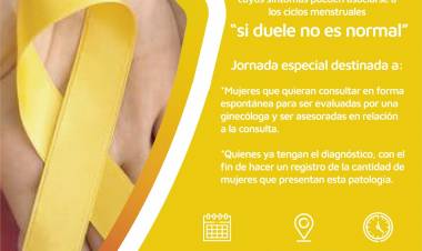 Jornada de endometriosis