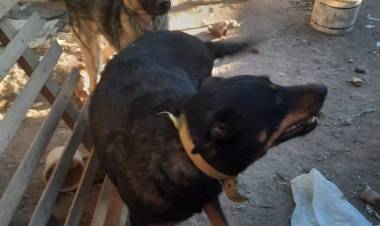 Grave denuncia de violencia de género 