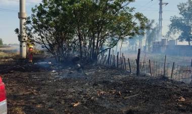 Importante incendio de pastizales