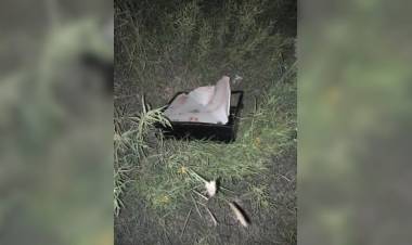 Robó un comercio, se cortó la mano y fue al Hospital: lo detuvieron