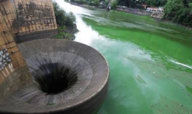 Lago San Roque: obligan a la Provincia a presentar un plan de saneamiento