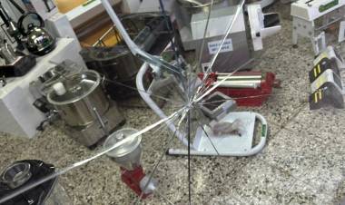 HECHO DE DAÑO CON APREHENDIDO