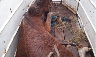  ALLANAMIENTO POSITIVO 