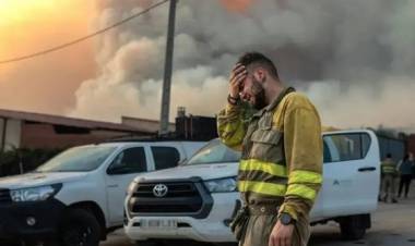 El verano europeo fue el más caluroso de la historia y dejó 61 mil muertos