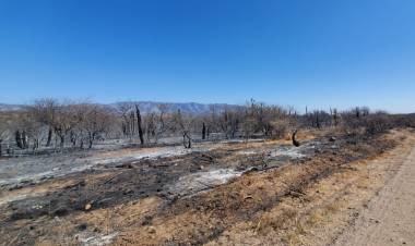 No quedan incendios activos en la provincia