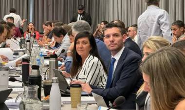 El Pro anticipó un apoyo "sin peros" en Diputados al proyecto de "ley ómnibus" de Milei