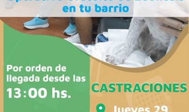 Inicia la campaña gratuita 2024 de castraciones y vacunación antirrábica
