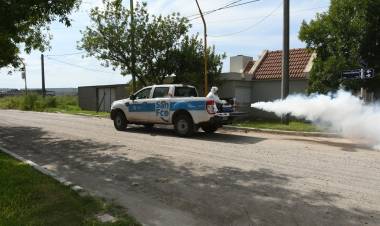 Dengue: el municipio  intensifica las acciones de prevención y el control para combatir el mosquito 