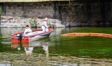 Lago San Roque: buscan frenar el ingreso de cianobacterias