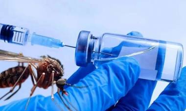 Científicos argentinos avanzan en el desarrollo de un kit para diagnosticar dengue