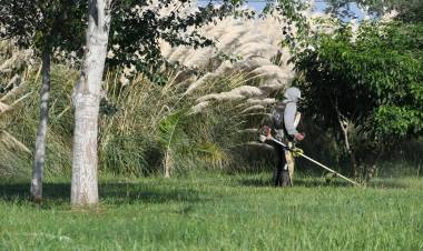 Continúan las tareas de desmalezamiento y limpieza de espacios verdes