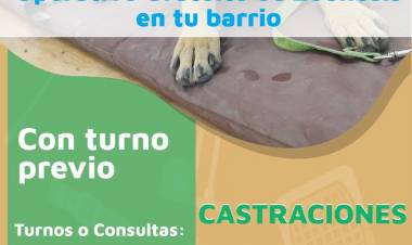 Continúa el operativo gratuito de Zoonosis 