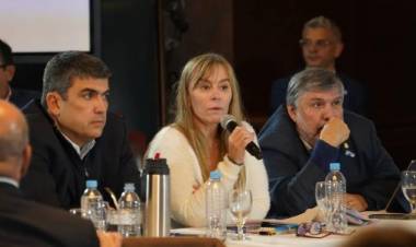 Ley Bases: el oficialismo no pudo sacar dictamen y el debate seguirá la próxima semana