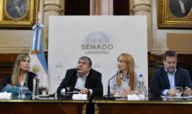 Dictamen Ley de Bases: la oposición puso en duda "la transparencia" de la negociación