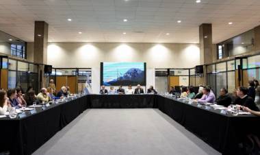 Córdoba participó de la primera reunión de la Comisión de Bosques Nativos del COFEMA