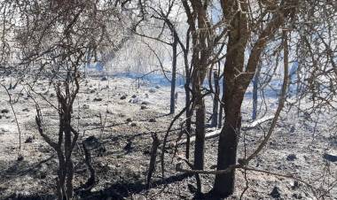 Situación de los incendios: sin focos activos, bomberos mantienen guardia de cenizas