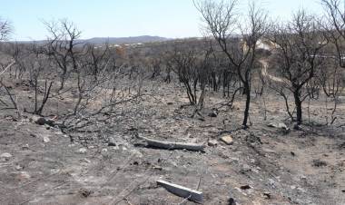 La Provincia declaró el desastre agropecuario por incendios