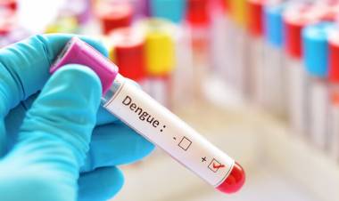 Alerta: reportan los dos primeros casos de dengue autóctono en Córdoba