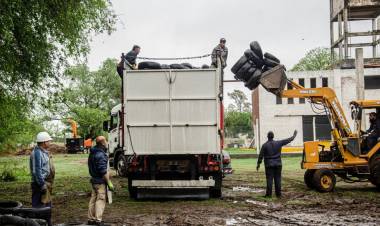 Prevención del dengue: Ambiente retiró más de 32 toneladas de neumáticos en desuso