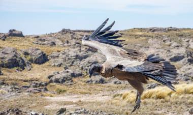 Córdoba fortalece el marco normativo para proteger Monumentos Naturales Provinciales