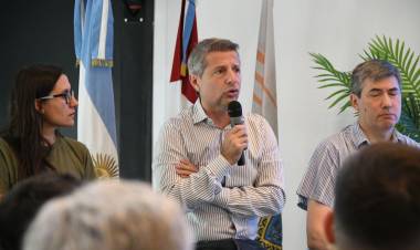 Bernarte lanzó la renovación digital de la licencia de conducir