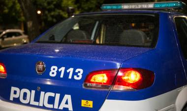 Incidente con perro pitbull: Se labraron actuaciones por tenencia irresponsable