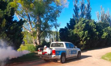 Dengue: “Se está haciendo un buen trabajo para demorar el crecimiento poblacional del mosquito”