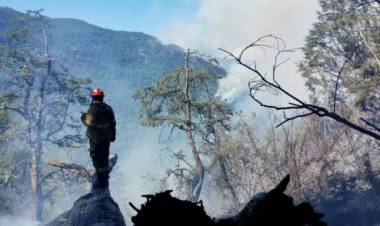 Incendios: hay más de 250 mil hectáreas quemadas en Corrientes y siguen las llamas en El Bolsón y Nahuel Huapi