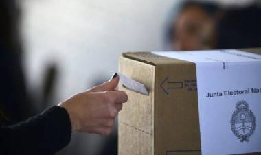 El Senado debate en comisión la suspensión de las PASO y apunta a tratarlo en la próxima semana