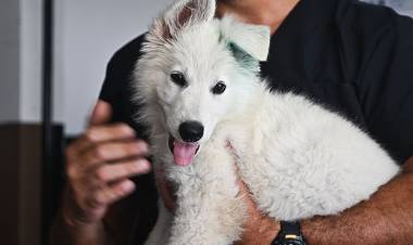 La FPA recibió un nuevo integrante para la División K-9