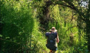 Oficial: el Gobierno desreguló la actividad turística en Parques Nacionales