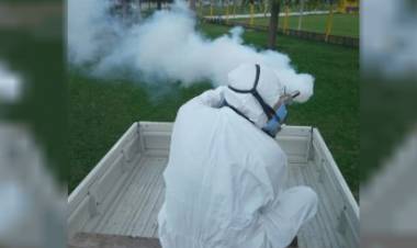 Dengue: fumigan en Frontera para controlar el mosquito Aedes aegypti