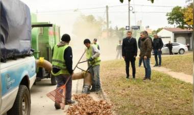 Campaña de recolección de hojas: arranca este viernes en barrio Sarmiento