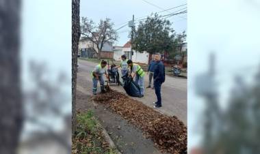 El municipio avanza con la campaña de recolección de hojas en todos los barrios