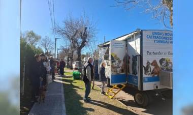 Castración y vacunación antirrábica