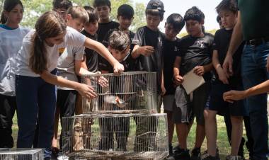 San Justo: Liberaron 37 ejemplares de fauna silvestre
