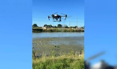 Avanza en San Francisco el plan de prevención y control del Dengue