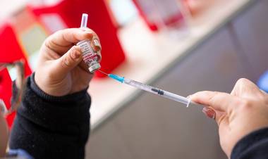 Ricardo Pieckenstainer: “Buscamos garantizar la obligatoriedad de las vacunas del calendario nacional»