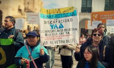 Emergencia en discapacidad: reclaman sanciones para el gobierno de Milei por el incumplimiento de la Ley