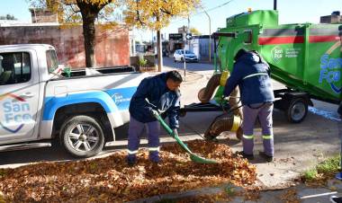 Continúa la campaña de recolección de hojas en distintos barrios de la ciudad