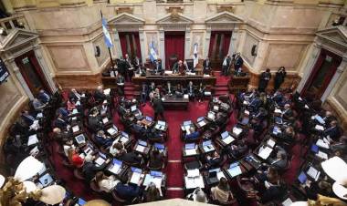 El Senado debate hoy la Ley de Salud Mental, que habilita internaciones involuntarias