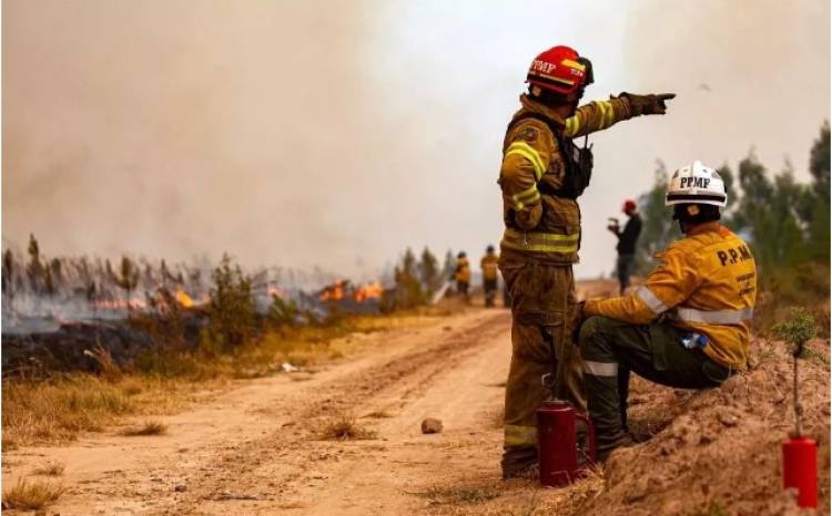 Decretan alerta ambiental por riesgos de incendios en la provincia