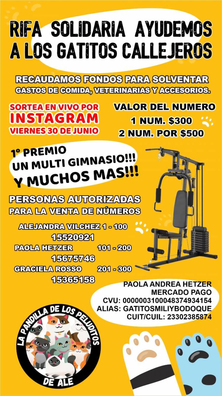 Rifa solidaria, Ayudemos a los gatitos callejeros 