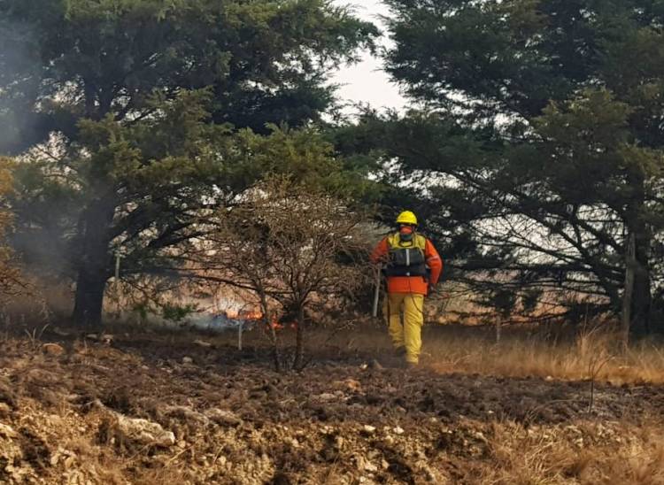 Por vientos fuertes, el riesgo de incendios hasta la noche será extremo