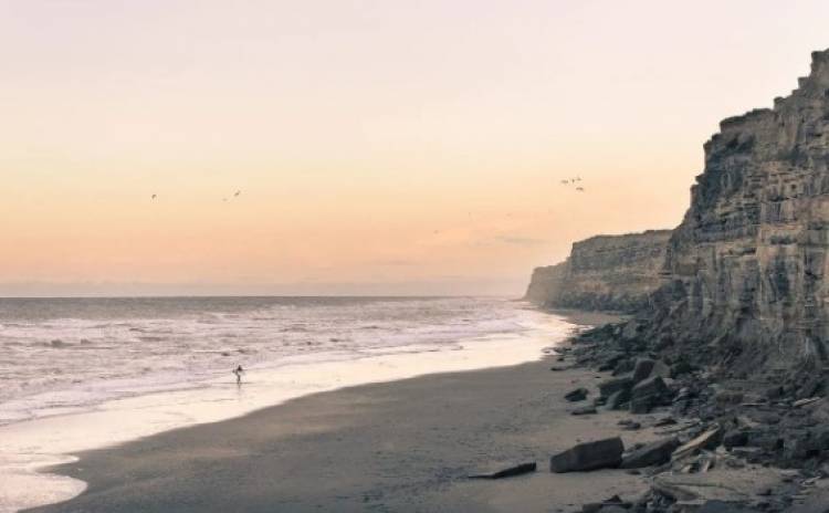 Viedma: restringen acceso en playas por casos de gripe aviar en lobos marinos